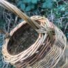 Small Foraging Basket Workshop (29th September 2024) - Image 3