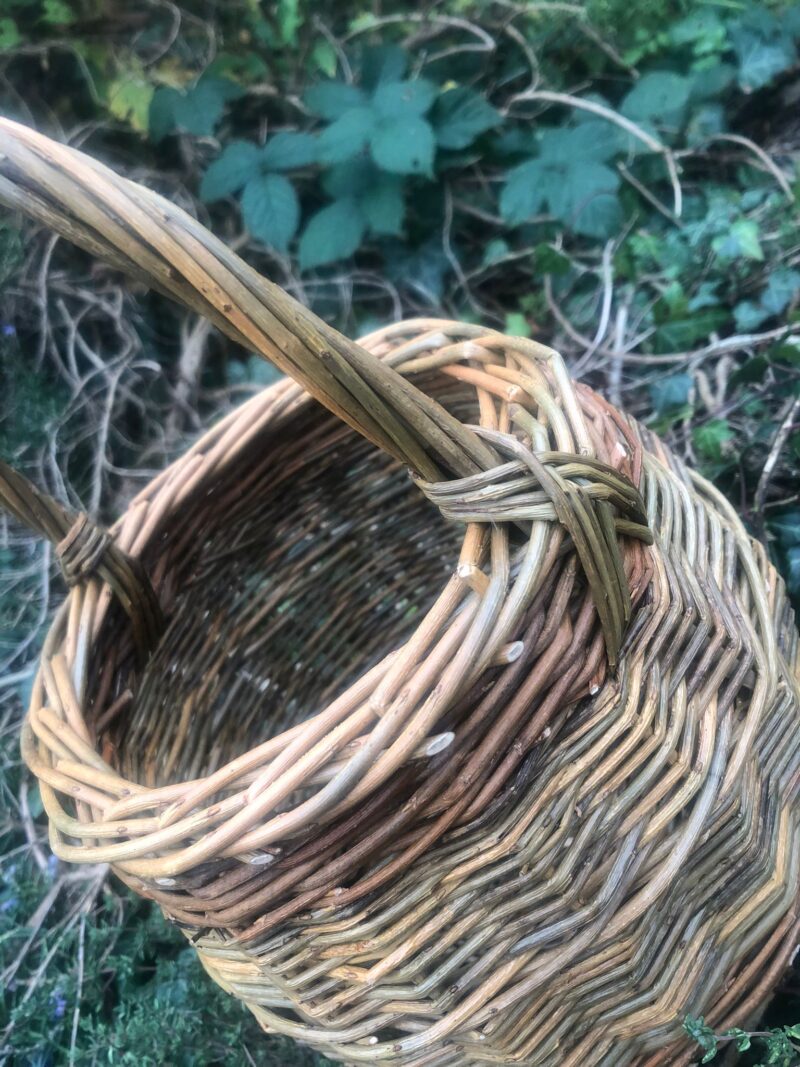 Small Foraging Basket Workshop (25th February 2024) - Image 3