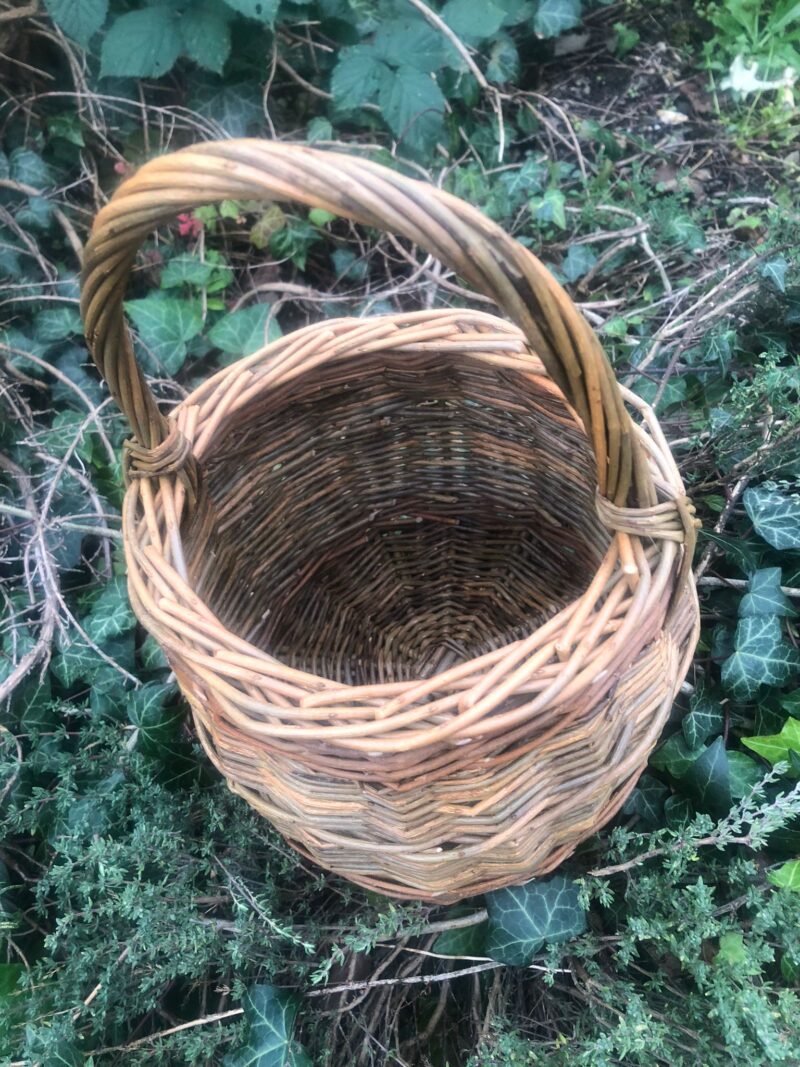 Small Foraging Basket Workshop (25th February 2024) - Image 2