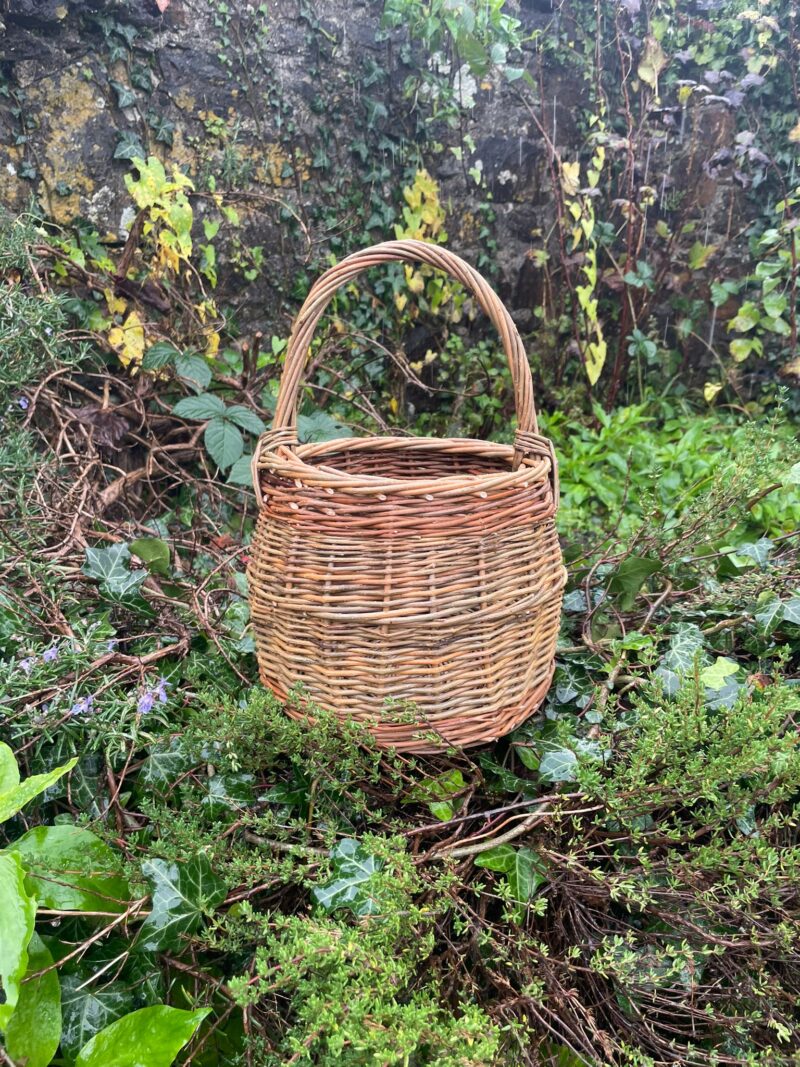 Foragers basket with handle