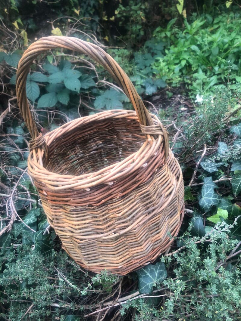 Foragers basket with handle - Image 3