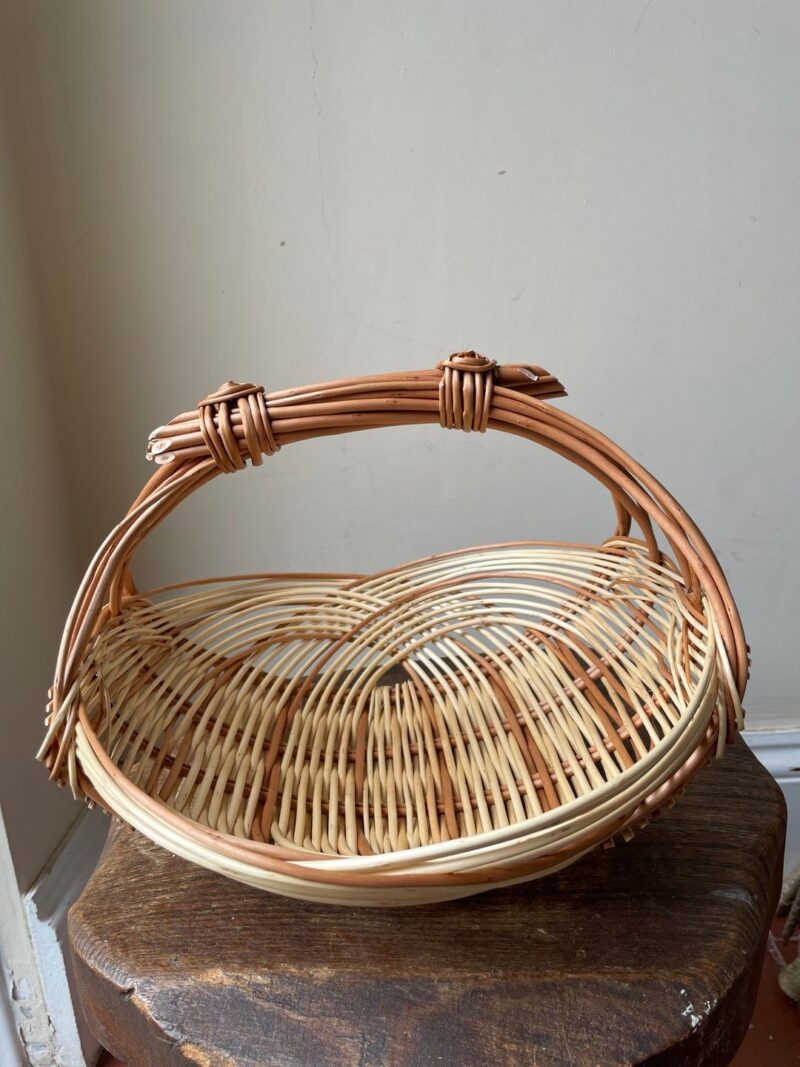 Zarzo Basket Workshop (14th July 2024) - Image 2